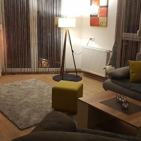 Apartman Mina Divcibare Bagian luar foto