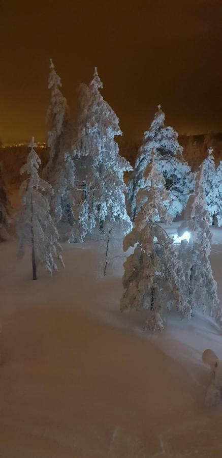Apartman Mina Divcibare Bagian luar foto